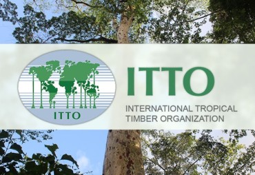 OIBT : 60ème session du Conseil international des bois tropicaux et sessions des comités associés