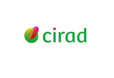 CIRAD is looking for a researcher specializing in the development of wood composite materials