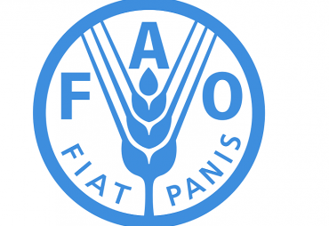 FAO is recruiting a Project Coordinator based in Bangui