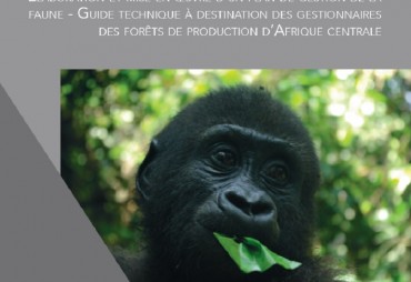 A new guide to sustainably manage wildlife in Central African production forests