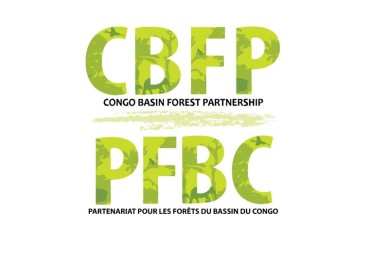 20e Réunion des Parties du PFBC - Kinshasa (RDC)