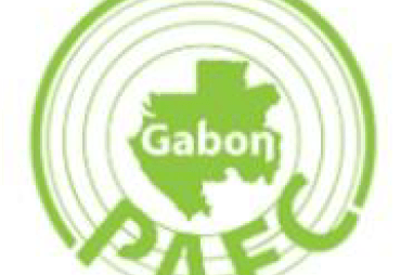 Press release of our partner  PAFC Gabon : The forest certification PACF GABON continues its development and commitment to the Gabonese forests. By Rose ONDO, President of PAFC GABON