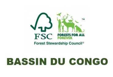 FSC : la nouvelle équipe du Bassin du Congo est en place