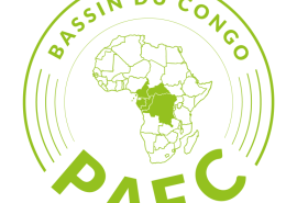 Control Union accrédité par TUNAC pour réaliser des audits de certification forestière dans le Bassin du Congo