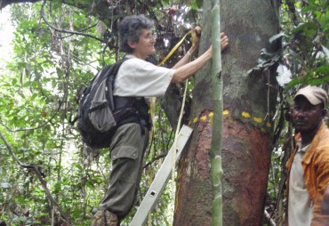 Tropical forests lose their great lady, Sylvie Gourlet-Fleury has left us