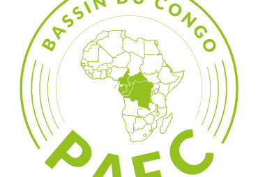 PAFC Congo Basin: Auditor chain of custody training (in English)