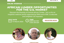 Inscrivez-vous au webinaire de l'IWPA* et de l'ATIBT le 14 mars sur les opportunités du bois africain pour le marché américain