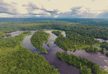 Étude d’évaluation d’impact des modes de gestion forestière sur le couvert forestier dans le bassin du Congo