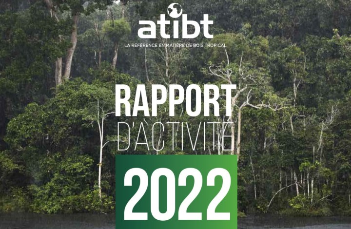 ATIBT Activity Report
