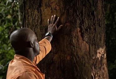 5-Gestion forestière & Transformation du bois