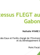 Processus APV/FLEGT au Gabon
