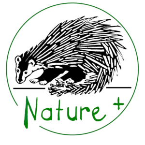 nature_transparent-1