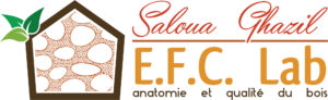 logo_efc_lab_horizontal