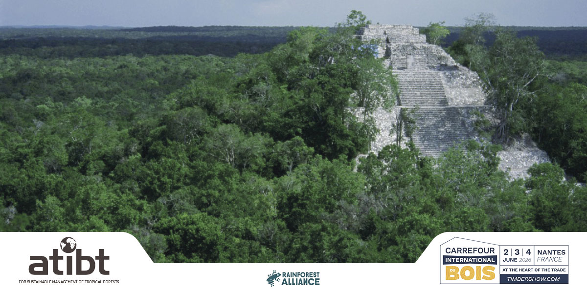 CIB 2026 - ATIBT ROUNDTABLE - FSC Certified Timber from Selva Maya