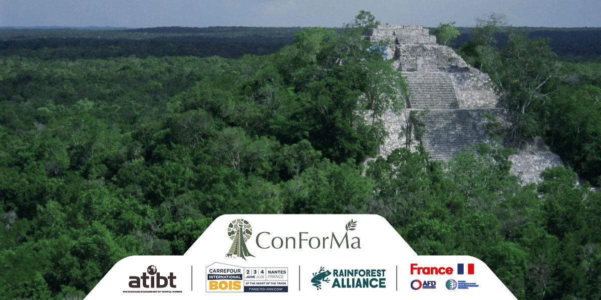 CIB 2026 - ATIBT ROUNDTABLE - FSC Certified Timber from Selva Maya