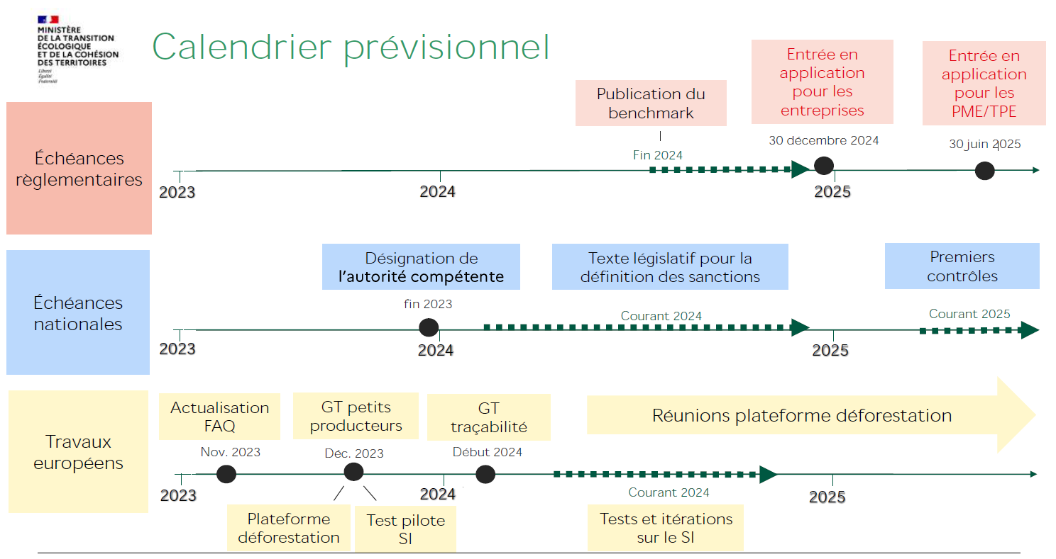 RDUE : une nouvelle FAQ disponible et mise en ligne de l'Observatoire  européen de la déforestation et dégradation des forêts