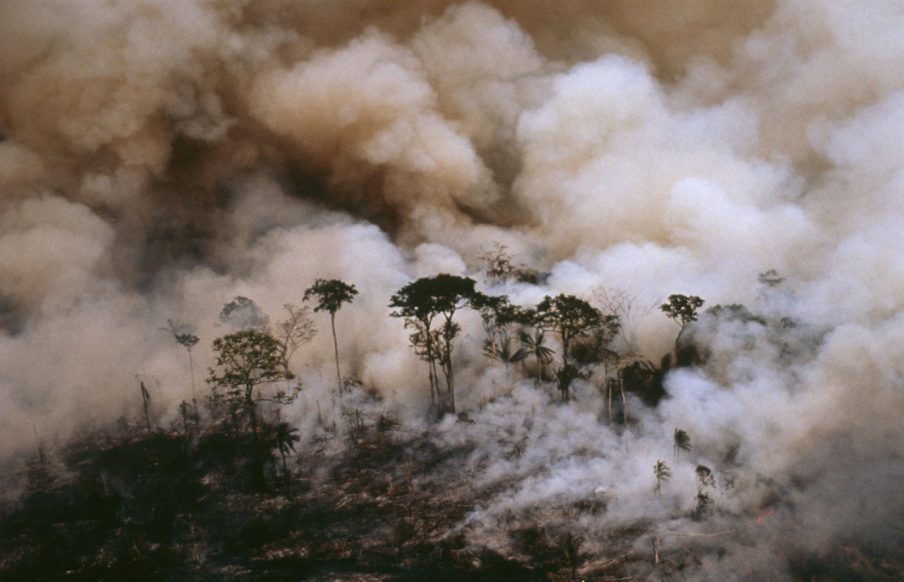 Aerial shot of Acre State showing forest fire. Amazonia, Brazil. Crédit Mark Edwards/WWF