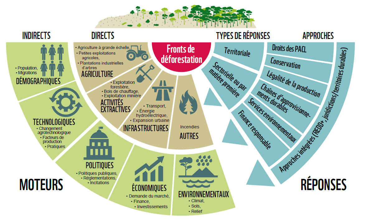 Source WWF 2021