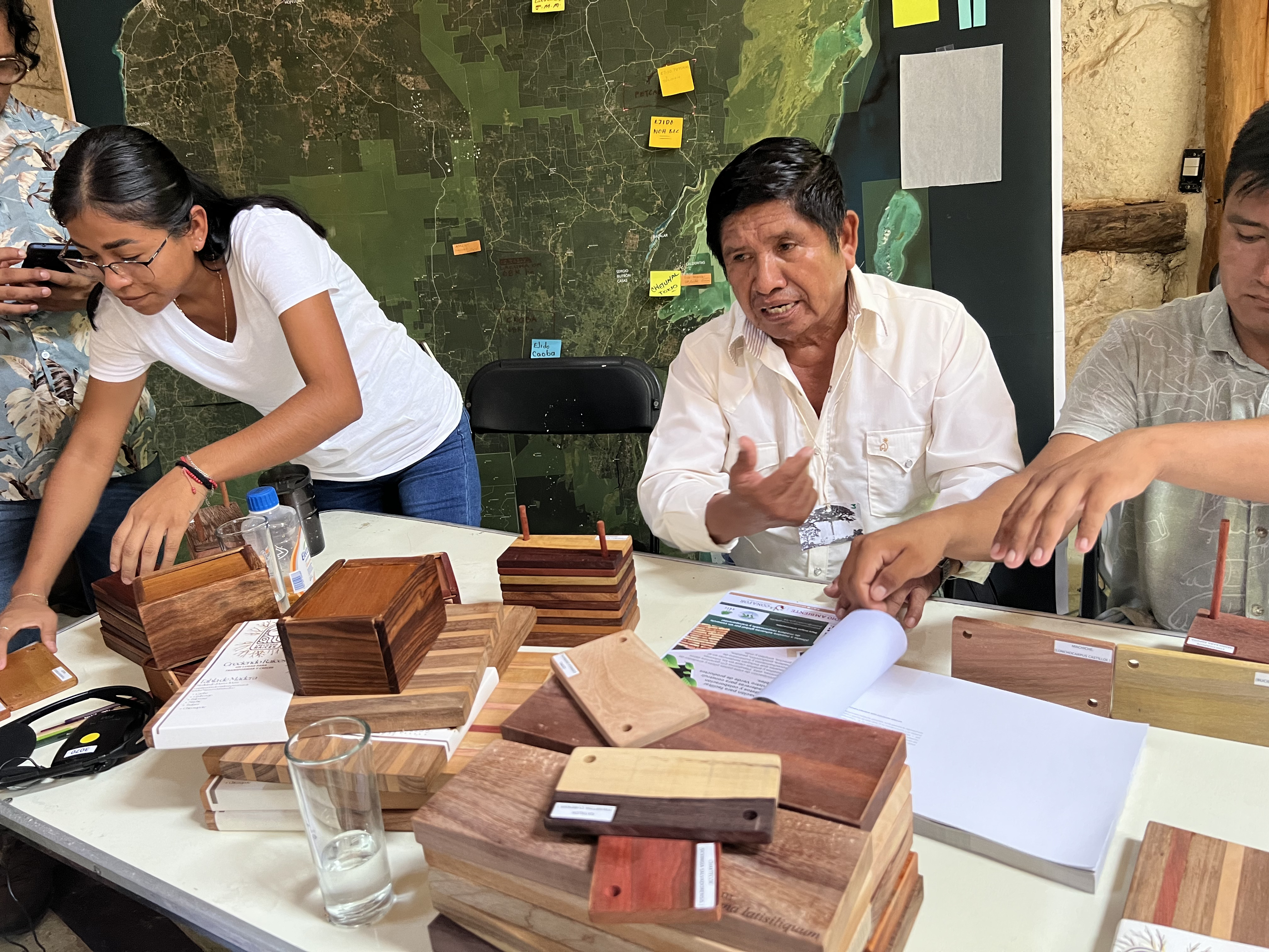 Promotion des bois Selva Maya