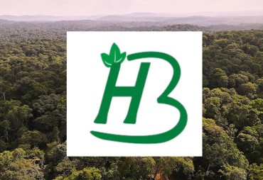 Bonus Harvest rejoint le programme Forests Forward du WWF pour améliorer la gestion forestière au Gabon