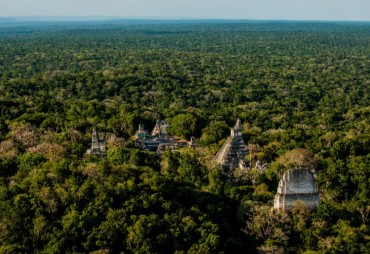 Des représentants de la Selva Maya au Carrefour International du Bois 2024