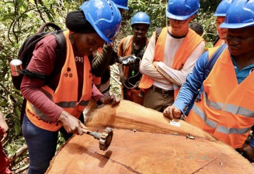 Three weeks of training in the Cameroon forest