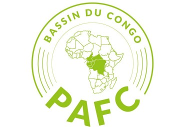 A major step forward for the PAFC certification scheme in the Republic of Congo: IFO is now PAFC Congo Basin certified!