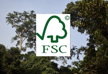 Le FSC lance une consultation et organise à un webinaire le 29 novembre sur la motion 23