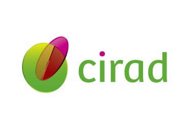 CIRAD is recruiting a tropical forester, specialist in ecological restoration