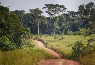 Development of a forest road and trail planning application