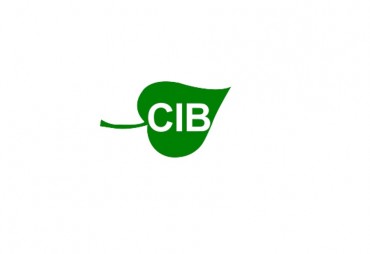 CIB opens up to public-private partnerships
