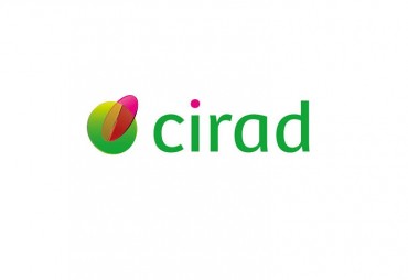 Le CIRAD recherche un.e chercheur.euse spécialiste en conception de matériaux composites ligneux