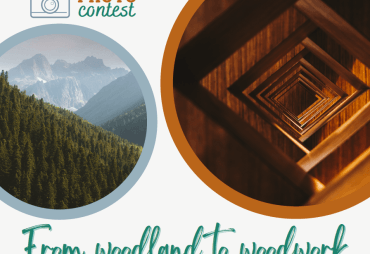 UNECE/FAO organizes a photo contest "Woodland" & "Woodwork”