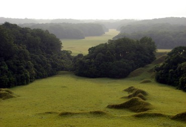 La Fondation Precious Forests a organisé une table ronde avec l’appui de TEREA / ATIBT pour affirmer le rôle de la gestion durable des forêts dans l’atténuation du changement climatique