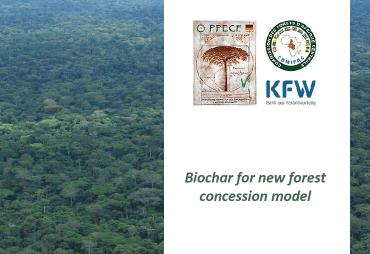 "Biochar for new forest concession model": how can wood waste from the timber industry in Central Africa be recycled?