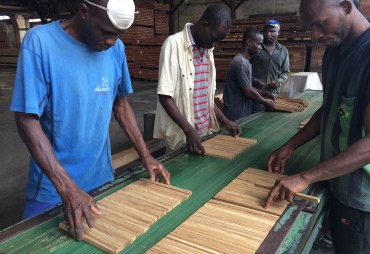 La 1ère édition du Forest Conservation Job Day organisée le 6 mai 2022 par l’ERAIFT (RDC)