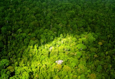 Comment améliorer la surveillance des  forêts dans le bassin du Congo ?
