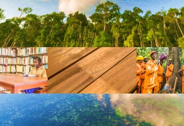 La société INTERHOLCO, membre de l’ATIBT, en tête du classement mondial des solutions forêts pour la planète