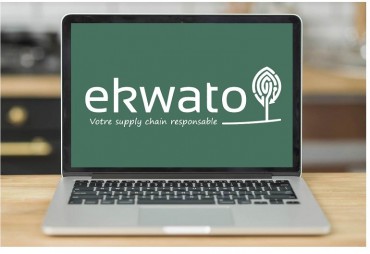 EKWATO: Risk analysis in the timber industry in real time