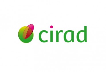 CIRAD is looking for an economist specializing in sustainable value chains