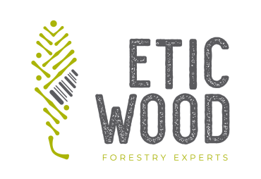 Eticwood recrute