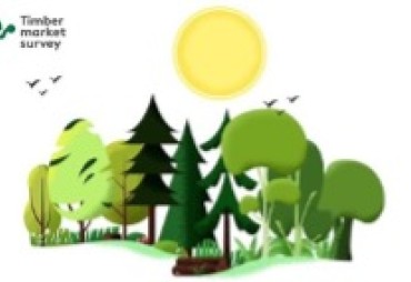 Extension de la deadline pour la collecte de données de suivi des approvisionnements bois certifié ou « Timber market survey » (Thémis)