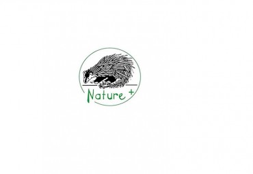 Nature+ is looking for a director