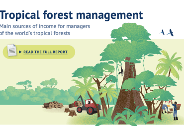 Probos report on current and potential sources of income for tropical forest managers