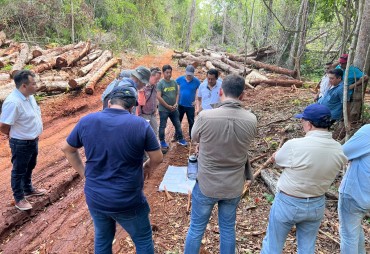 L’ATIBT et Rainforest Alliance réaffirment leur volonté de travailler ensemble pour la préservation des forêts tropicales