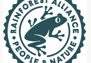 Rainforest Alliance is looking its new Director of Forests
