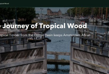 Découvrez le voyage du bois tropical à travers une magnifique carte interactive