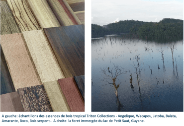 Triton Collections, le bois tropical français issu des forêts immergées au Carrefour International du Bois 2026