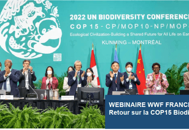 WWF France propose une feuille de route aux acteurs du secteur privé suite aux décisions de la COP 15 sur la biodiversité