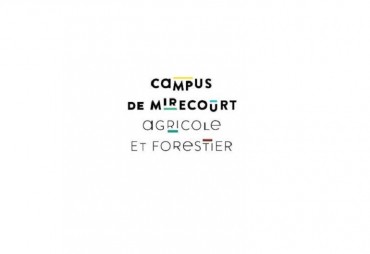 Formation courte en « Plantation forestière et entretien de jeunes peuplements »